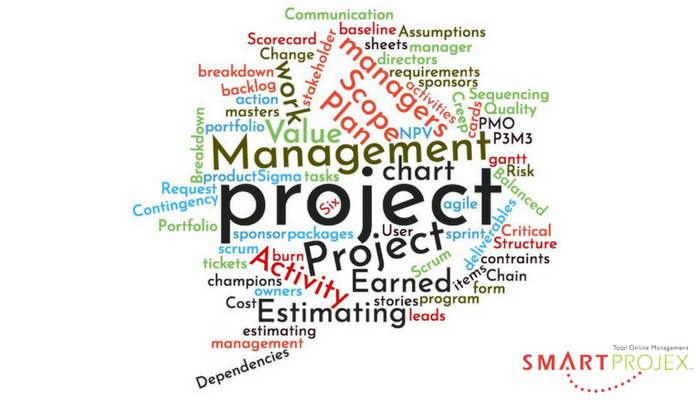 Project Management